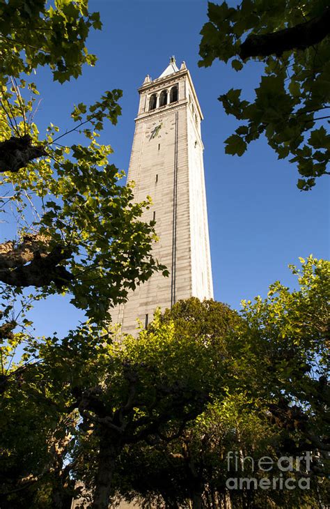 Campanile Berkeley Bell Tower Photograph By Juan Romagosa Fine Art