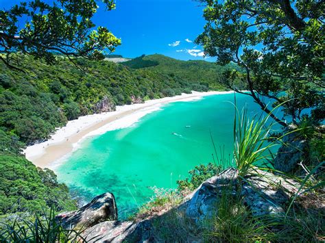 Top beaches in new zealand | new zealand. Explore the landscapes of New Zealand | Media India Group