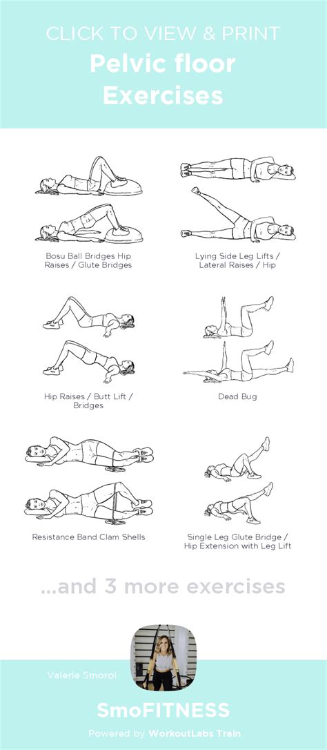 Pelvic Floor Exercises Smofitness Click To View And Print This Illustrated Exercise Plan