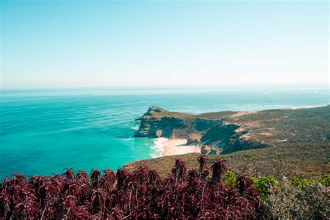 6 Things To Do Along South Africas Cape Peninsula Ashley Renne