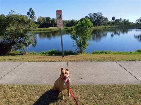 amber visits all 110 parks and rec facilities in clearwater gallery colorful clearwater