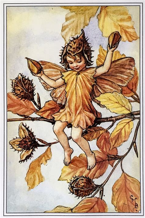 The Flower Fairies The Beechnut Fairy Book Illustration 1997 By