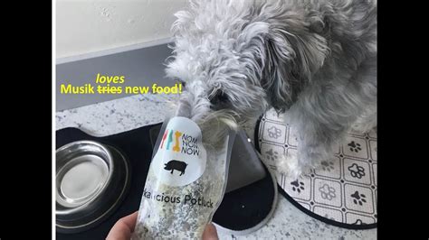 If you want to try out their products, click below for more info. Musik tries Nom Nom Now Fresh Dog Food - YouTube