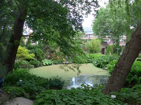 Botanical Garden Kruidtuin Louvain 2020 Ce Quil Faut Savoir Pour
