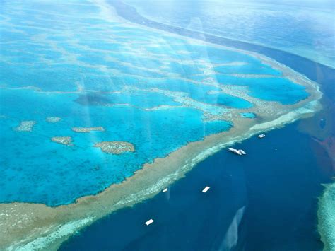 Why The Great Barrier Reef Is Dying And Why We Should Care