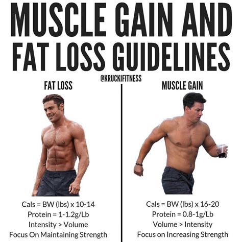 Muscle Gain And Fat Loss It Can Sometimes Be Complicated On How To