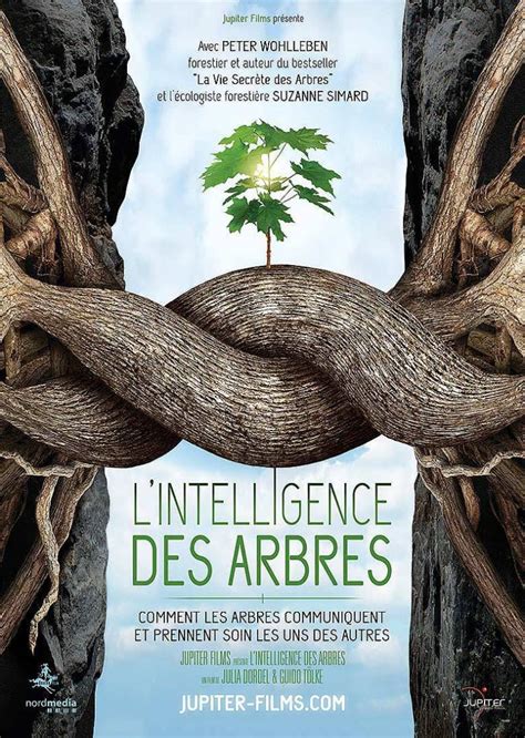 Le Livre Des Arbres Et Plantes Qui Restent à Découvrir - « L’intelligence des arbres » : un film qui révèle la vie secrète des