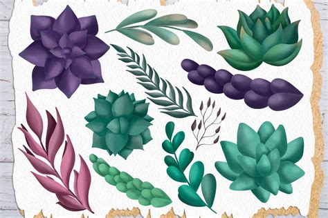 Succulents Clip Art Set
