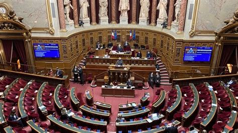 French Senate Passes Resolution On Recognition Of Assyrian Chaldean