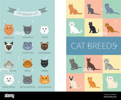 Cat Breeds Chart