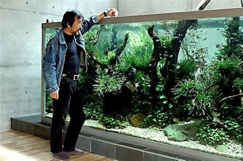 The nature photographer takashi amano comes from the japanese city of niigata. Amano Aquarium setup finish ! - a photo on Flickriver ...