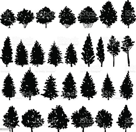 Set Of Trees Silhouettes Stock Illustration Download Image Now In