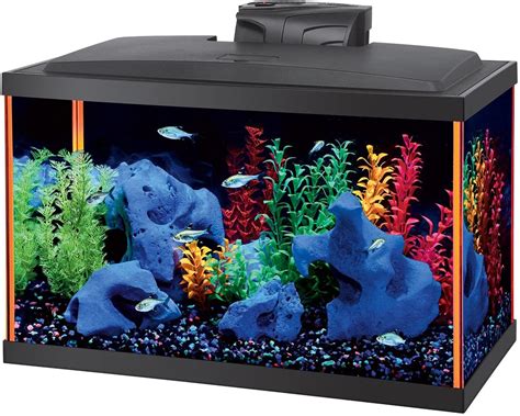 Aqueon Fish Aquarium Starter Kits Led Neoglow 10 Gallon Fish Tanks In