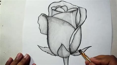 How To Draw A Rose Pencil Drawing Shading For Beginners Youtube