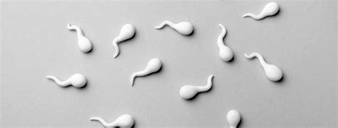 Too Much Sperm On Penis Great Porn Site Without Registration