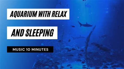 Aquarium With Relaxing And Sleeping Music Aquarium Relax Music Youtube
