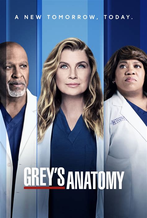 Watch Grey S Anatomy Online Season Tv Guide