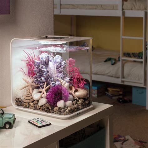 Biorb Flow Square Aquarium Tank Reviews Wayfair Fish Tank Themes