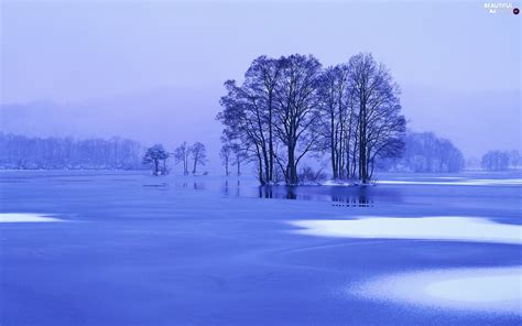 Frozen Lake Viewes Winter Trees Beautiful Views Wallpapers 1920x1200
