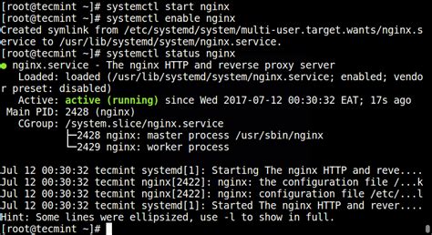 How To Install Nginx On Centos