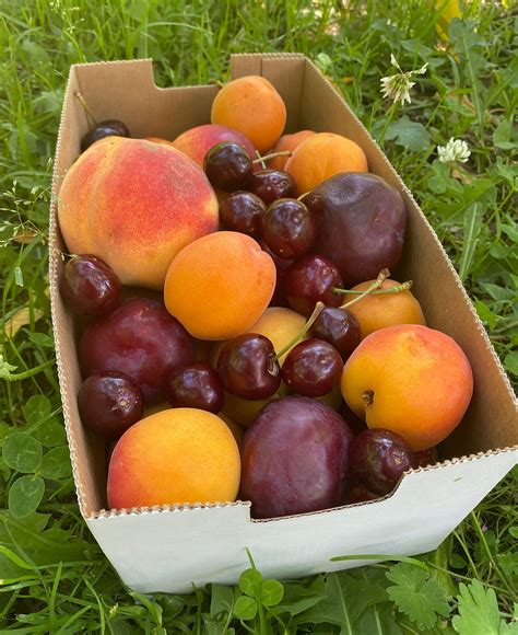 Mixed Fruit Boxes Johnsons Cottage Orchard And Fruit Stall