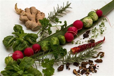 There are also a great many foods and herbs that build the immune system which will help you get over your cold or flu, as well as make sure that you. Herbal Remedies For Sore Throat and Hoarseness | Foods for ...