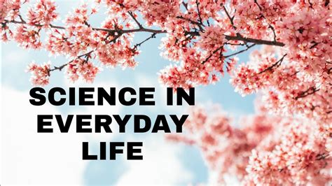 Science In Everyday Life Importance Of Science In Life YouTube