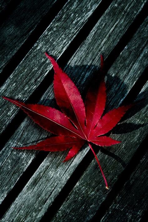 We did not find results for: 640x960 mobile phone wallpapers download - 3 - 640x960 ...