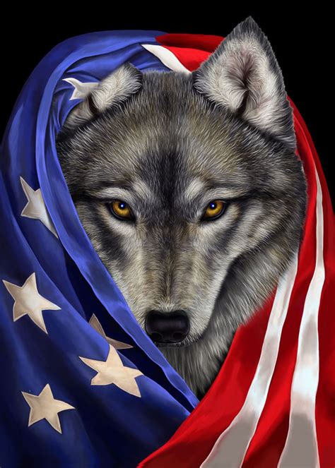 Timber Wolf Usa Patriot Poster Picture Metal Print Paint By Fox