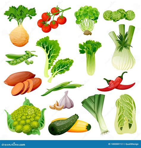 Farm Fresh Vegetables Vector Flat Cartoon Illustration Isolated