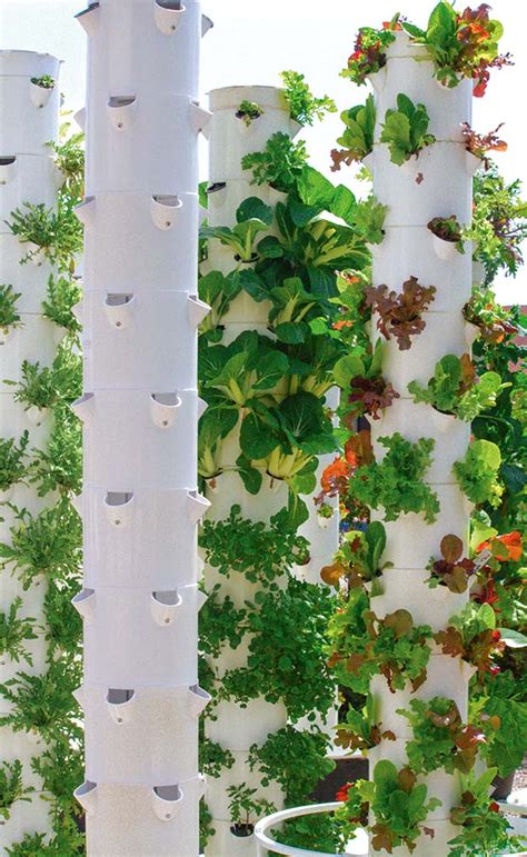 A Beginners Guide To Growing With Hydroponics