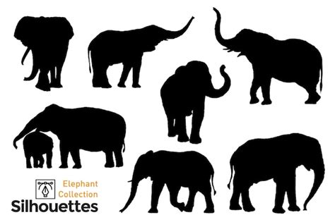 Colección De Siluetas De Elefantes Vector Premium