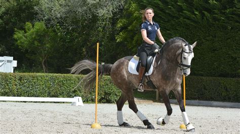 Working Equitation Courses For Your Dressage Training