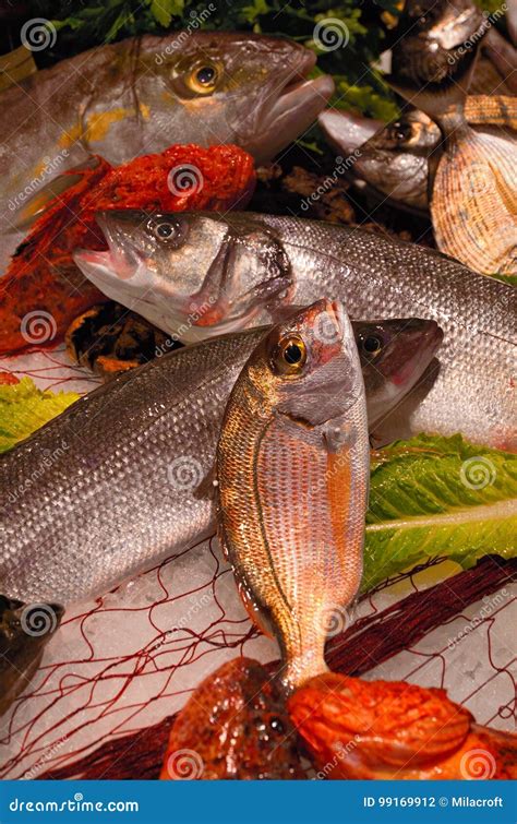 Variety Of Fresh Fish Seafood Stock Photo Image Of Food Healthful