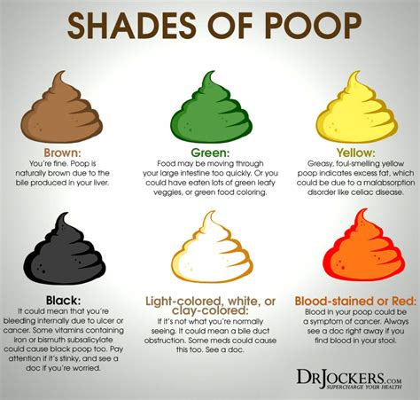 Why does my poop go to the bottom at john johnson blog