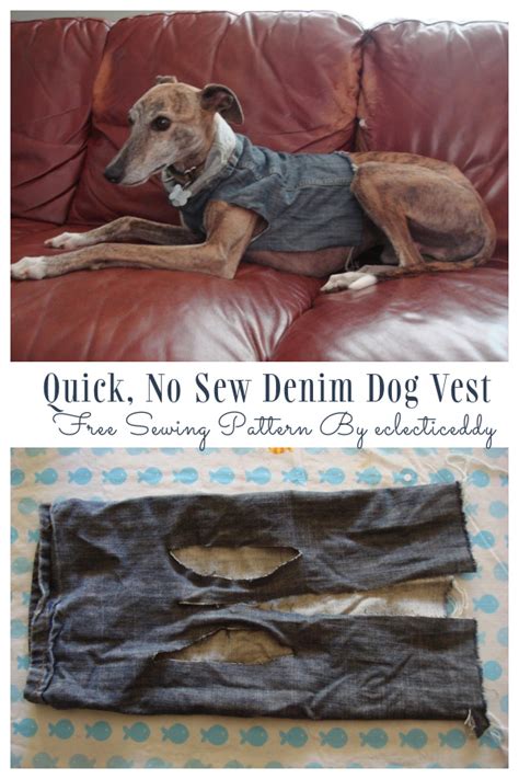 11 Diy Dog Coat No Sew