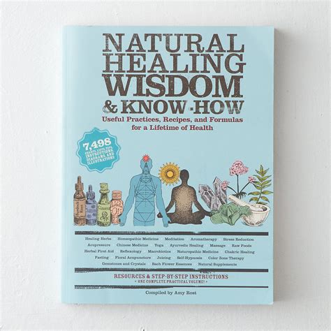 Natural Healing Wisdom And Know How In Househome Decorating Books