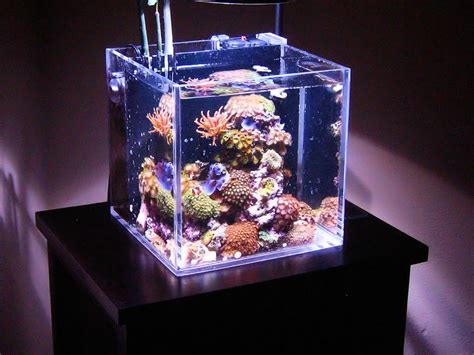 How to make an acrylic fish tank diy aquarium guide. Acrylic Nano Reef Aquarium - interesting design.... One day I will have this | Reef Tank ...