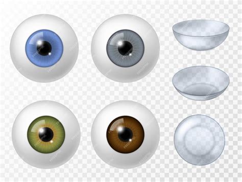 콘택트 렌즈와 인간의 눈 현실적인 인간의 안구 다른 색 홍채 질감 전면 보기 투명 배경에 설정된 안과 콘택트 렌즈 벡터