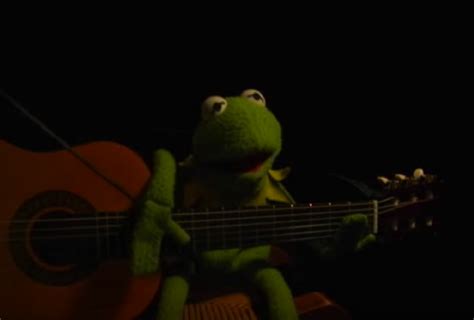 Kermit The Frog Memes Muppet Wiki Fandom Powered By Wikia