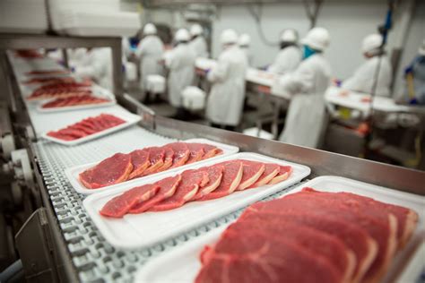 What Haccp Is And How To Implement It Sesotec Food Safety