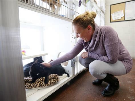 North Las Vegas Shelter Helps Pets Of Domestic Abuse Victims Las