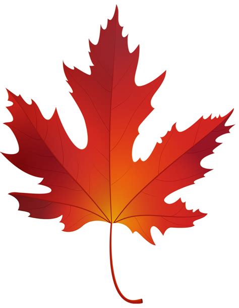 Autumn Maple Leaf 15100046 Png
