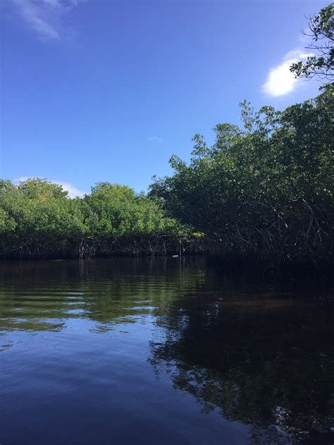 The Florida Everglades Experience Travel By A Sherrie Affair