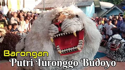 Barongan Jaman Now Putri Turonggo Budoyo Live Dusun Gentan Petir Youtube