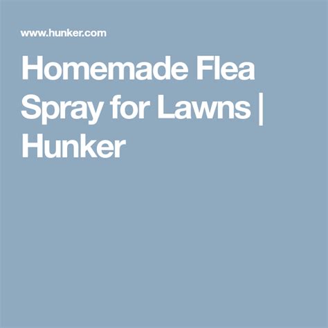 Homemade Flea Spray For Lawns Hunker Homemade Flea Spray Natural