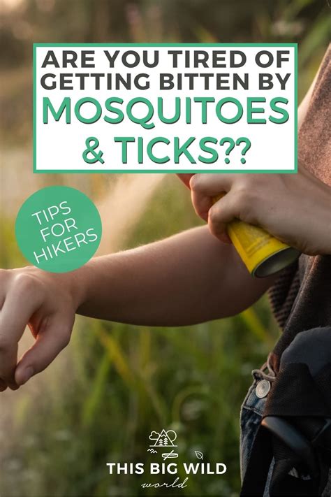 How To Avoid Getting Eaten Alive By Mosquitoes And Ticks While Hiking In
