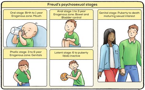 🌈 Freuds Developmental Theory What Are The Five Theories Of