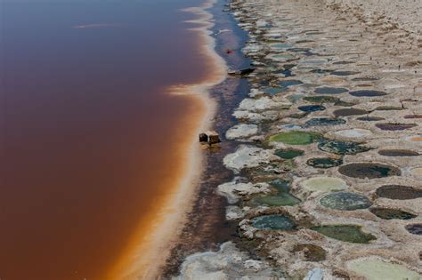 Furthermore, these soaps have no adverse effect on the plants themselves and are safe around humans and animals. California's largest lake is dying, leaving toxic dust ...
