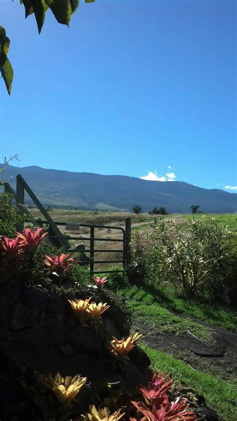 Upcountry Maui Hawaii Accommodations Makawao Kula Pukalani — Maui